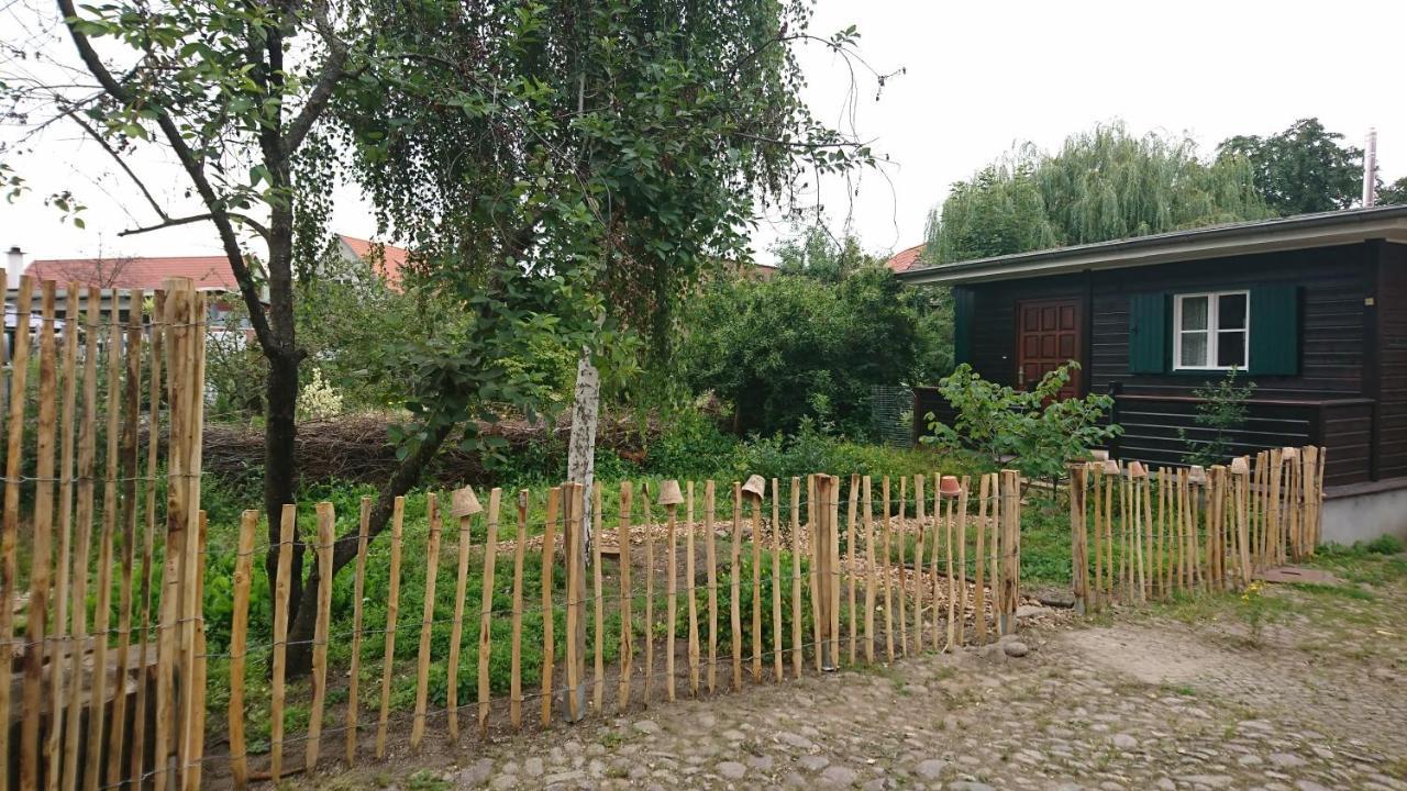 Huette Mit Herz Im Harz Apartman Meisdorf Kültér fotó
