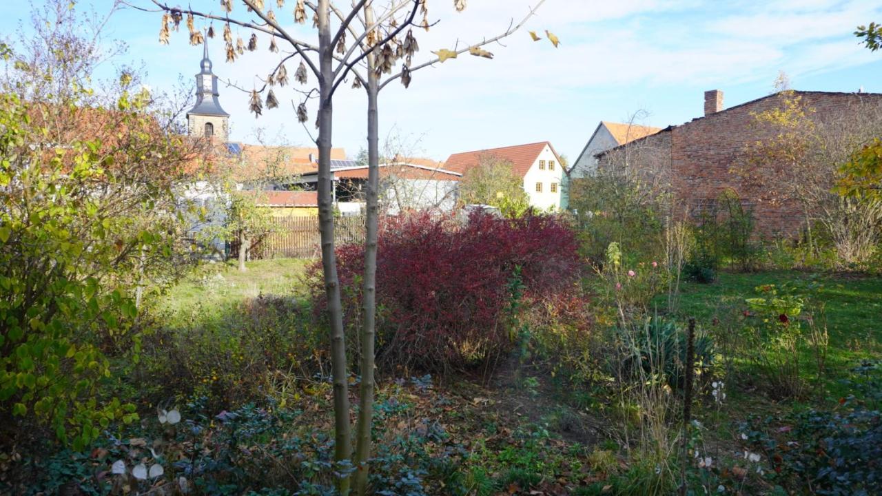 Huette Mit Herz Im Harz Apartman Meisdorf Kültér fotó
